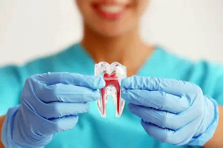imagem endodontia odontologia